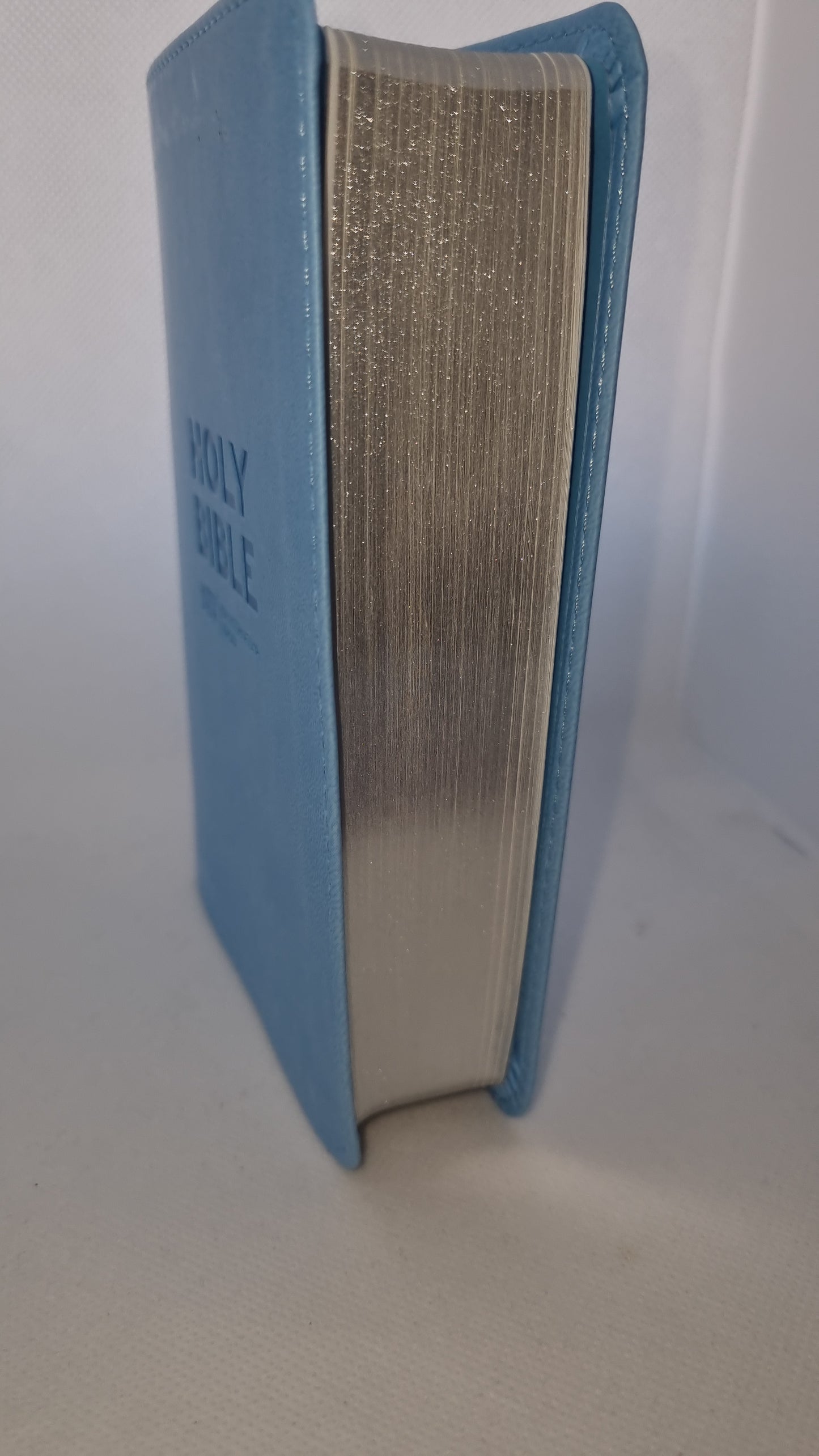 NIV Travel Bible