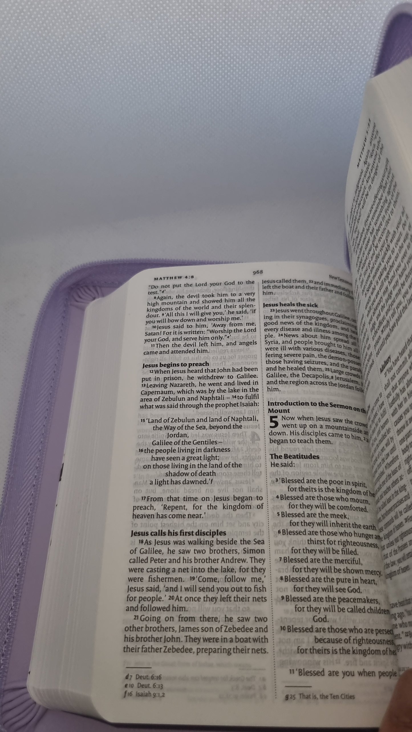 NIV Travel Bible