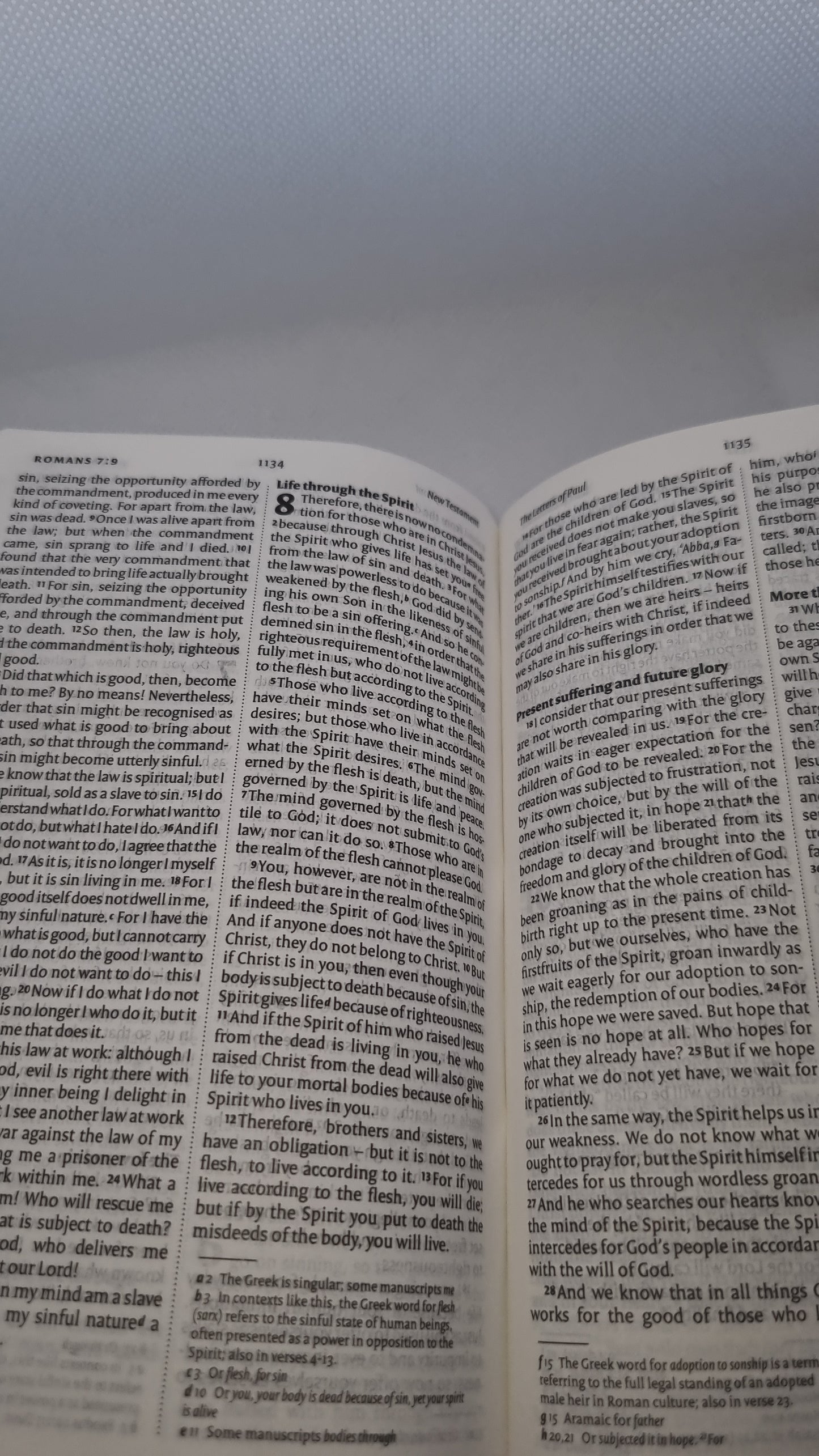 NIV Travel Bible