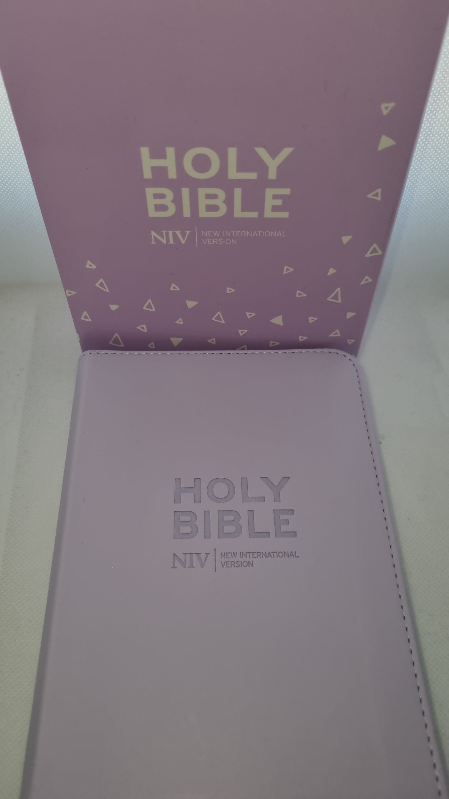 NIV Travel Bible