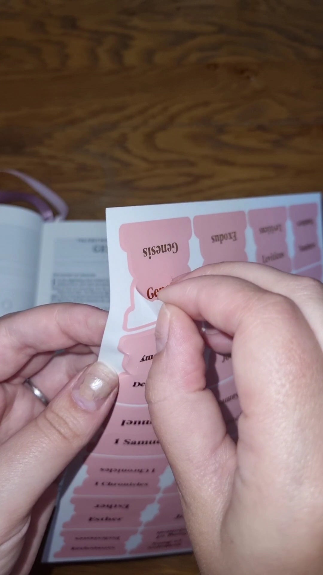 Bible Tabs