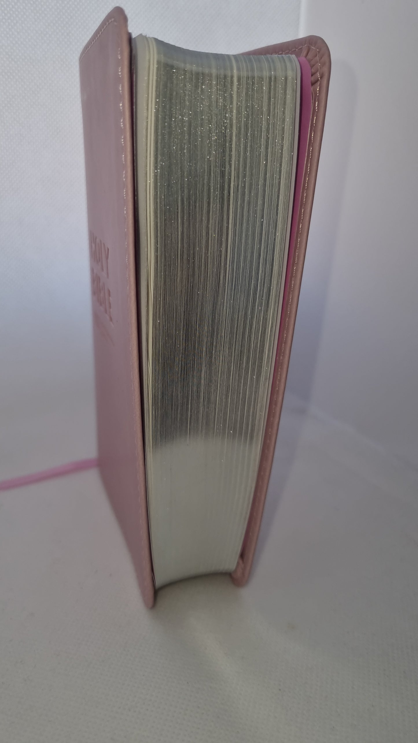 NIV Travel Bible