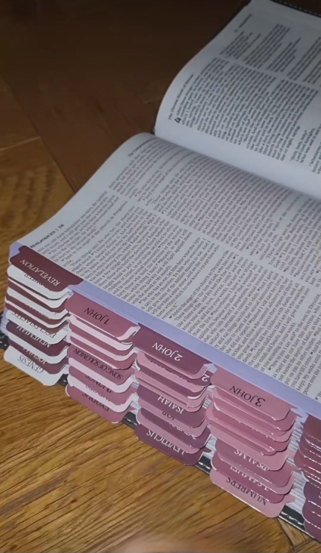 Prepped & Ready - Bible Setup Service