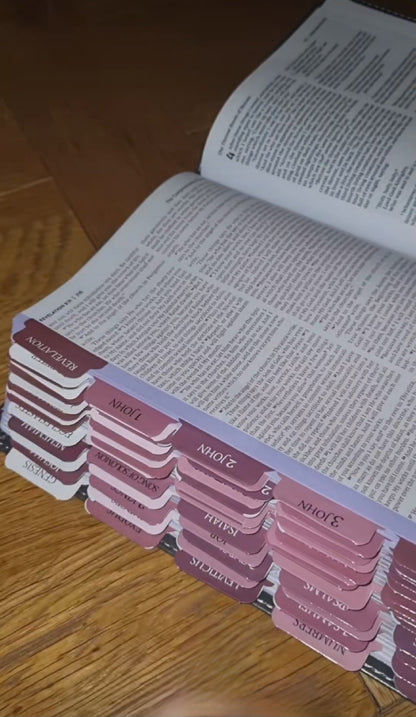 Prepped & Ready - Bible Setup Service