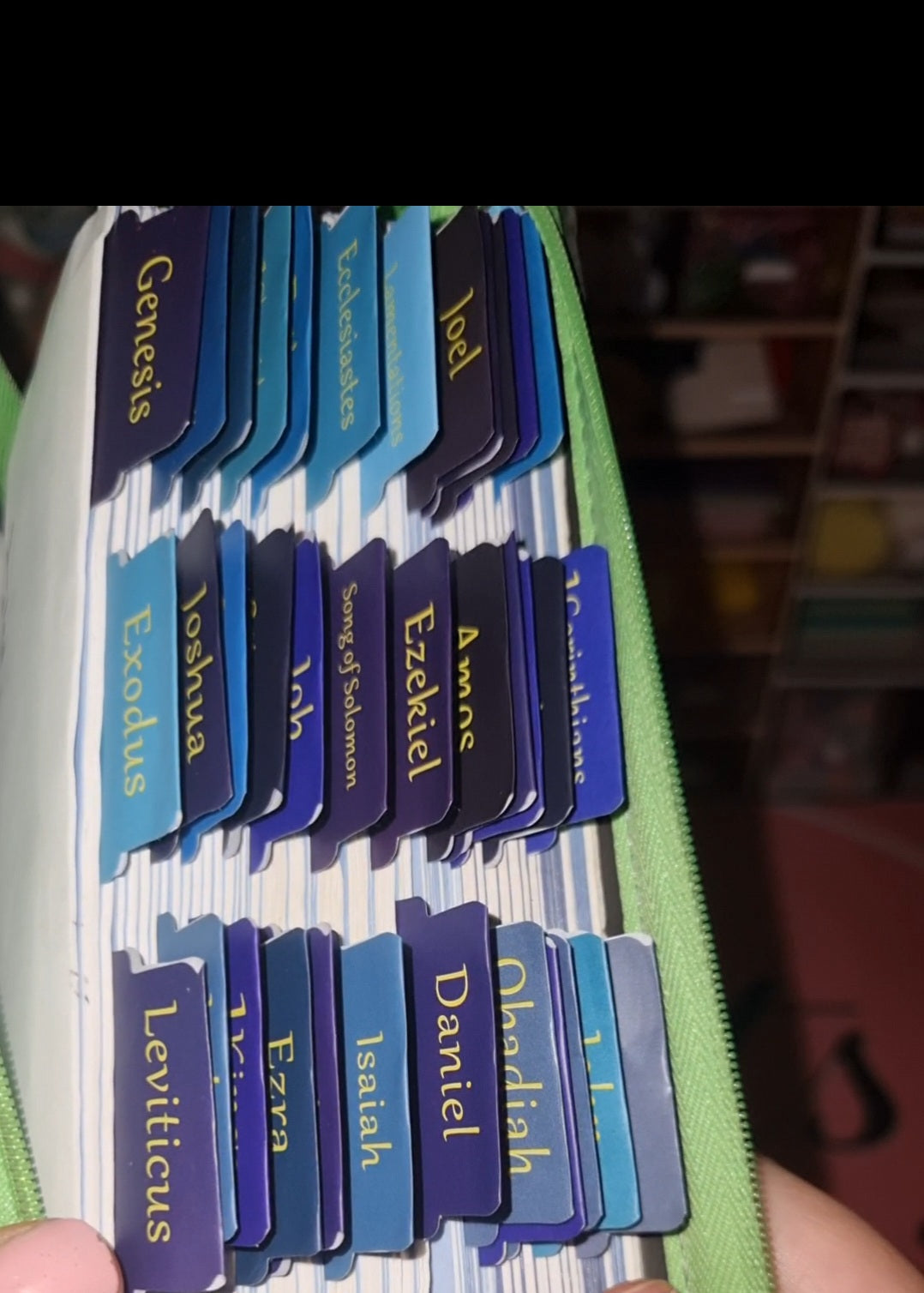 Prepped & Ready - Bible Setup Service