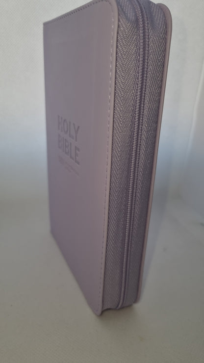 NIV Travel Bible