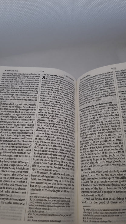 NIV Travel Bible