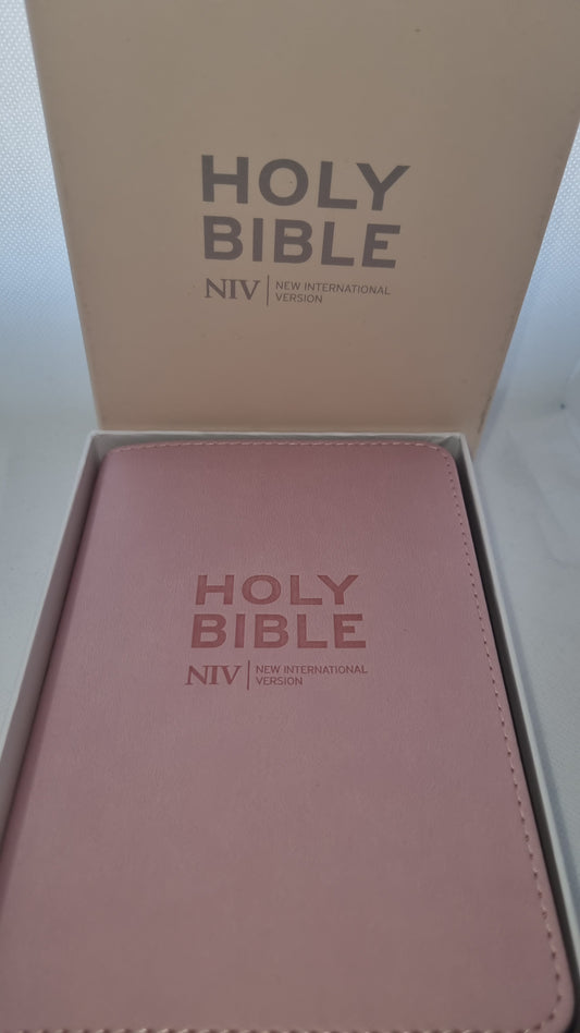 NIV Travel Bible